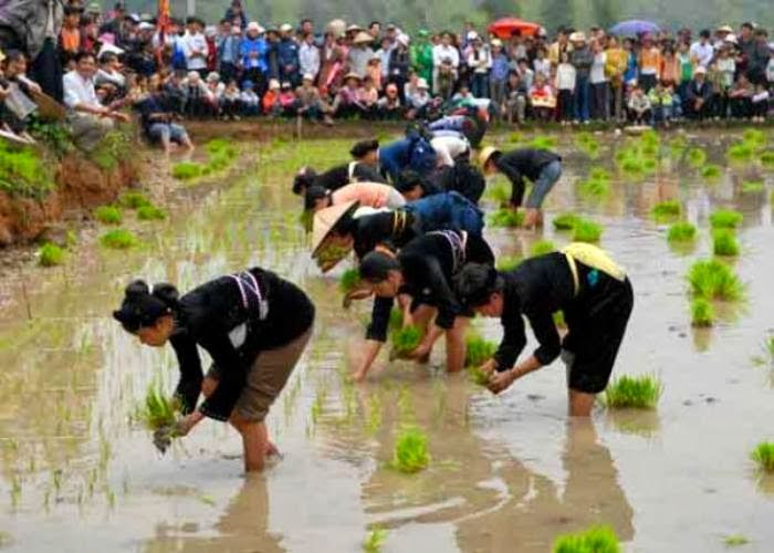 Lễ Hội Lồng Tồng Người Tày - Giao Hòa Văn Hóa Núi Rừng